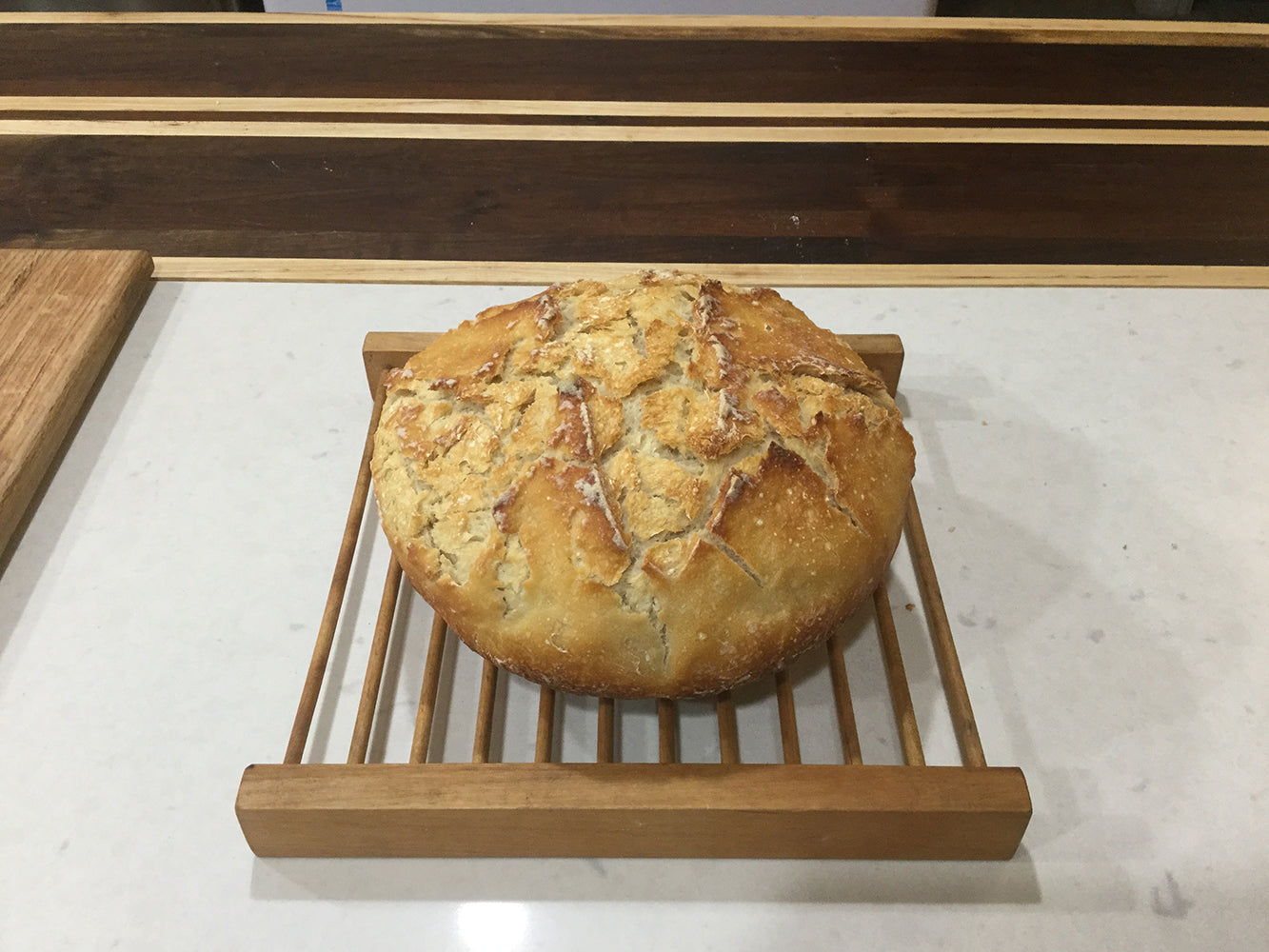 San Francisco Sourdough Starter Culture