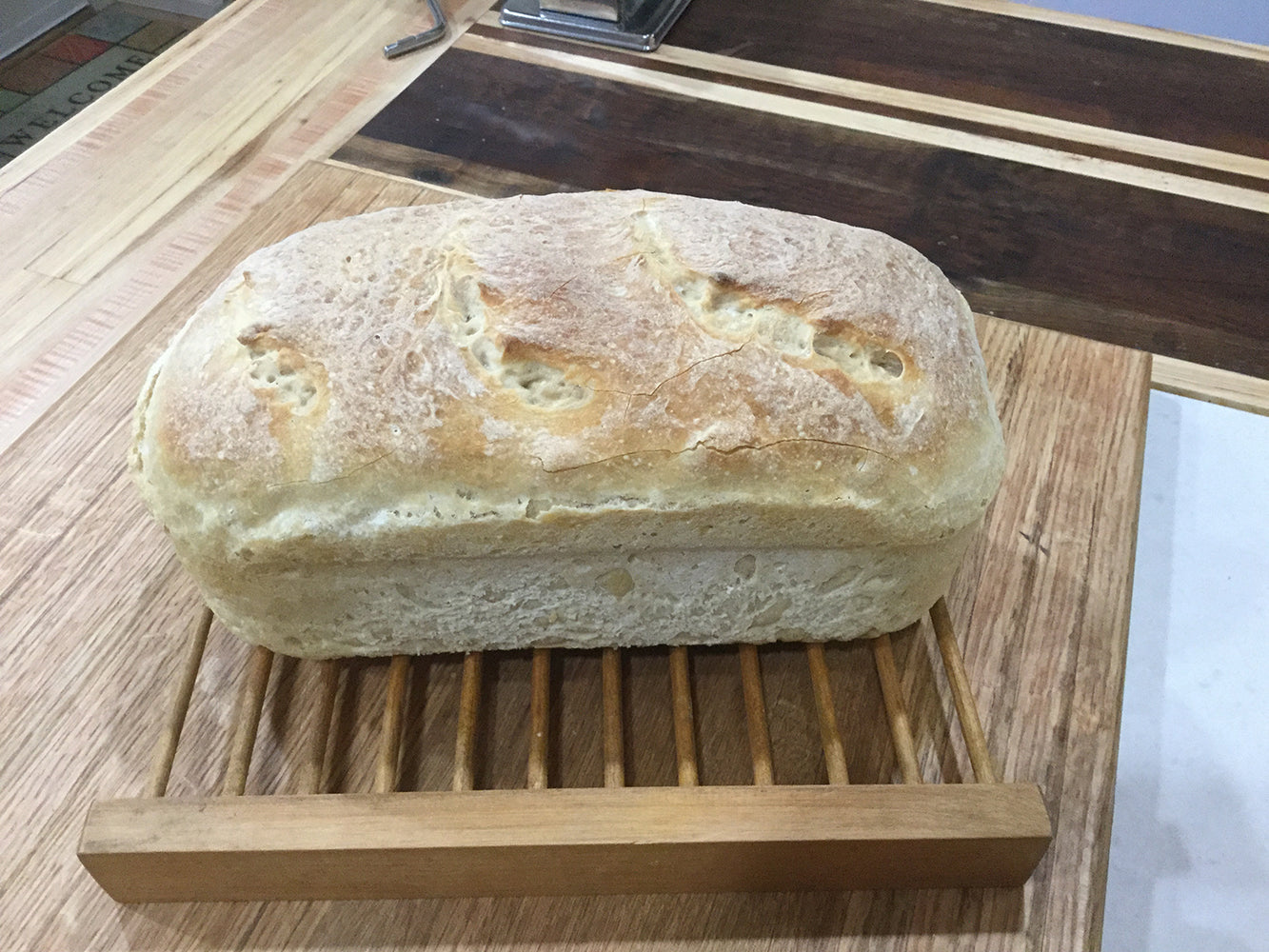 San Francisco Sourdough Starter Culture